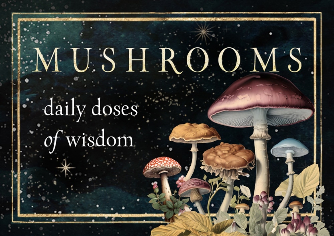 Picture of Mushrooms: Daily Doses of Wisdom (36 Gilt-Edged Full-Color Cards)