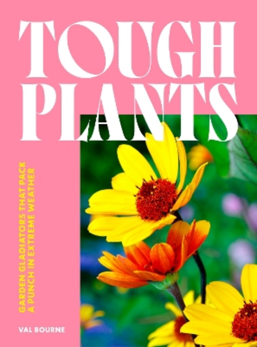 Picture of Tough Plants