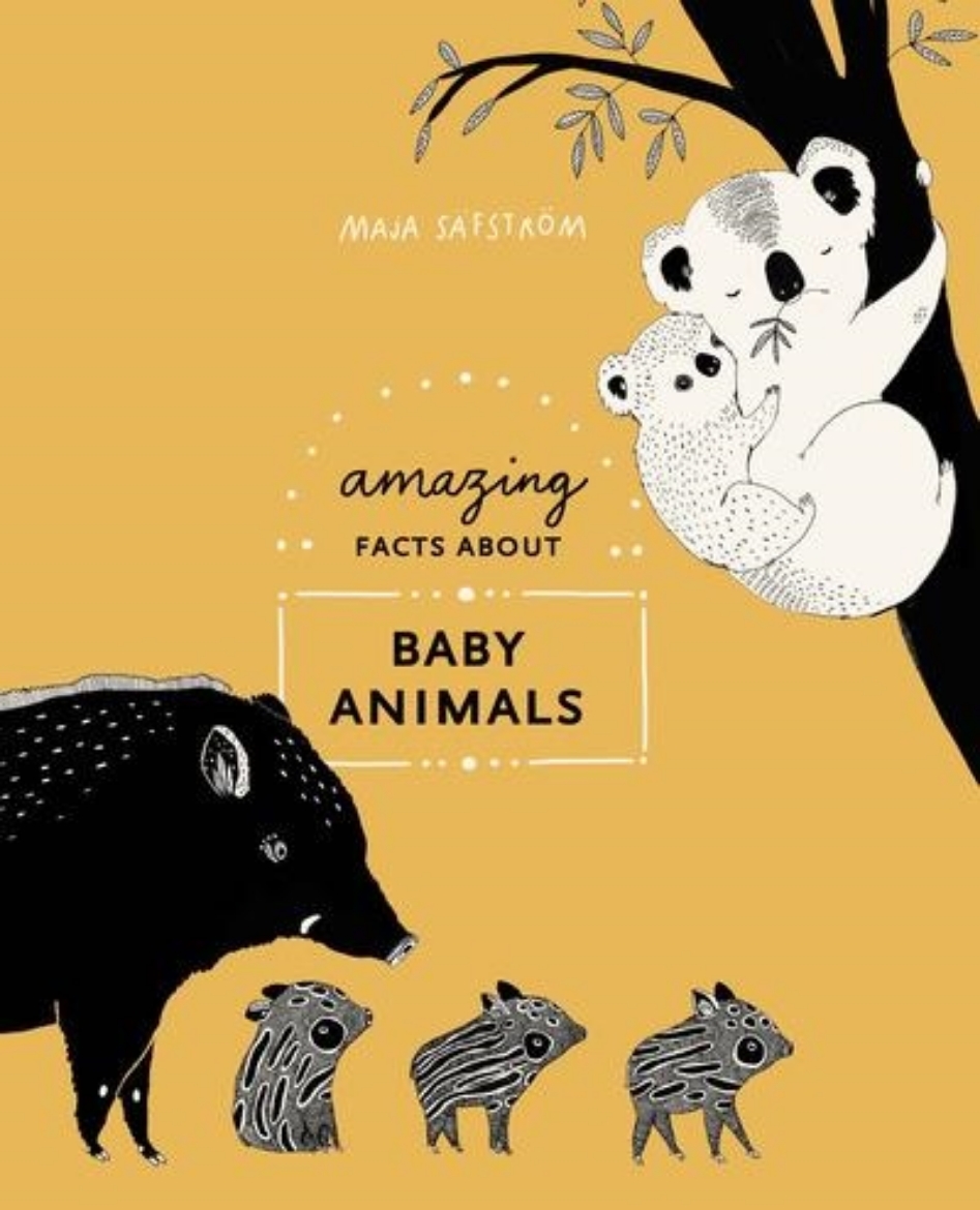 Picture of Amazing Facts About Baby Animals