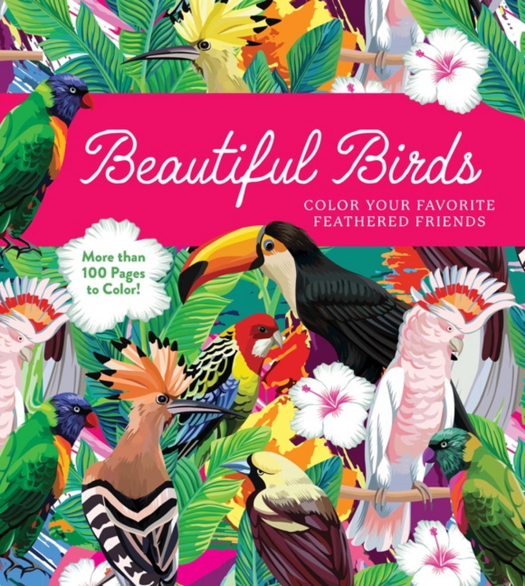 Picture of Beautiful Birds Coloring Book