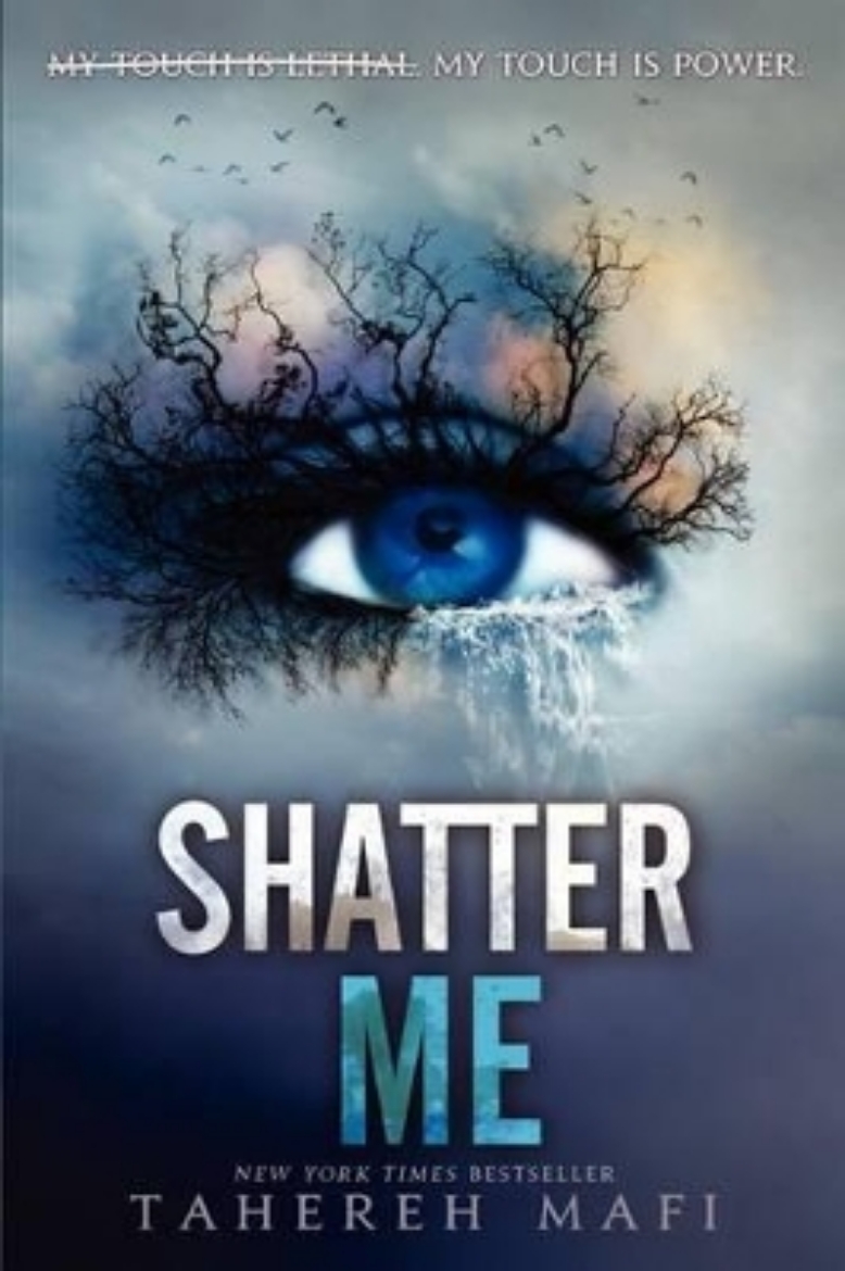 Picture of Shatter Me