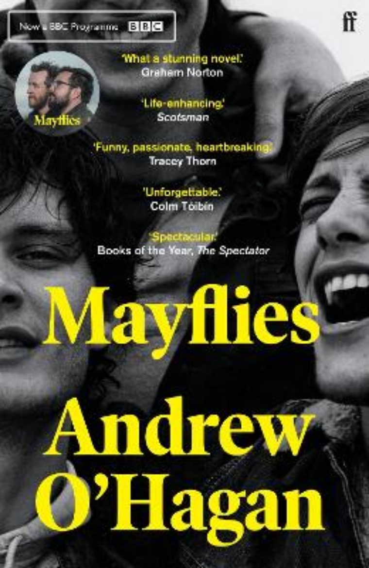 Picture of Mayflies