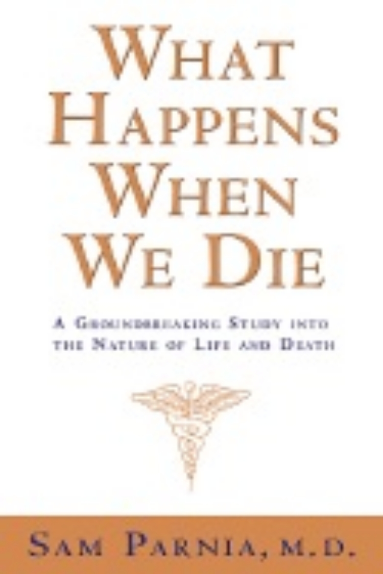 Picture of What Happens When We Die: A Groundbreaking Study Into The Na