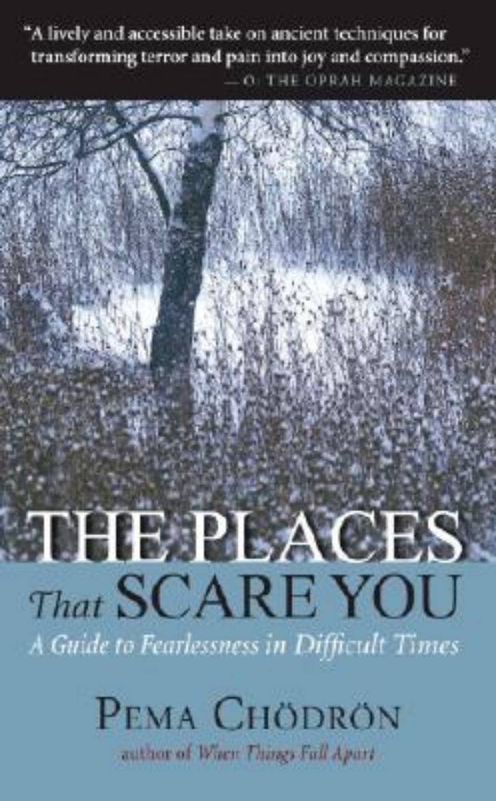 Picture of The Places That Scare You