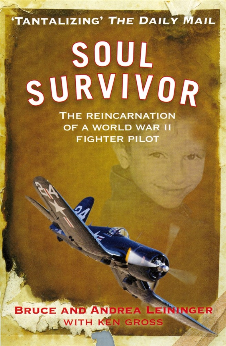 Picture of Soul survivor - the reincarnation of a world war ii fighter pilot