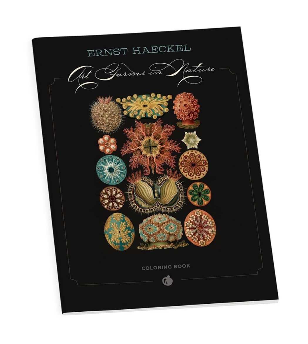 Bild på Ernst Haeckel: Art Forms Coloring Book