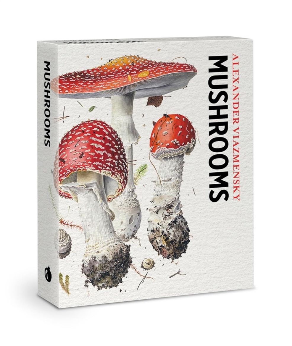 Bild på Mushrooms Knowledge Cards