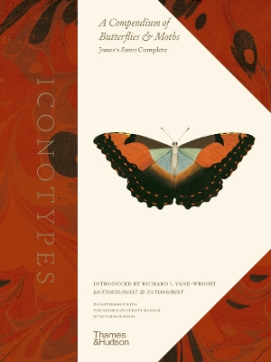 Picture of Iconotypes: A compendium of butterflies and moths. Jones’s Icones Complete