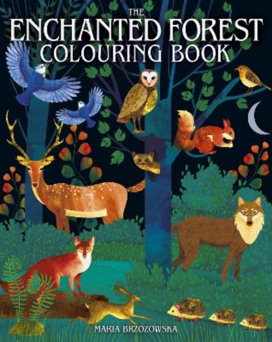 Picture of The Enchanted Forest Colouring Book