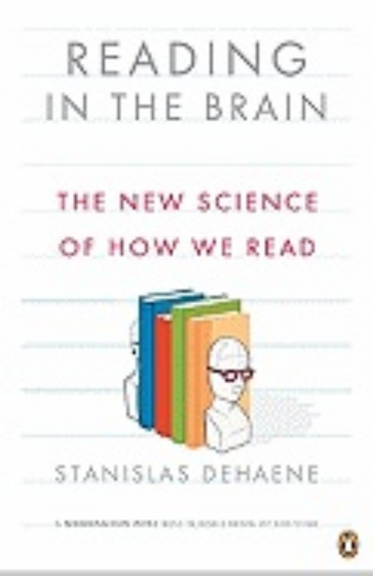 Picture of Reading in the Brain