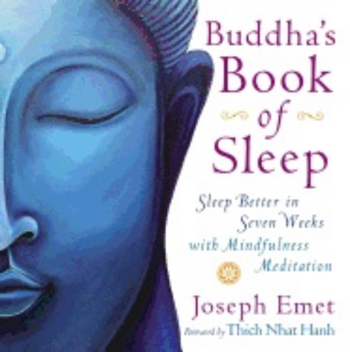 Picture of Buddha's Book of Sleep