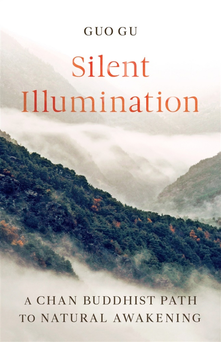 Picture of Silent Illumination