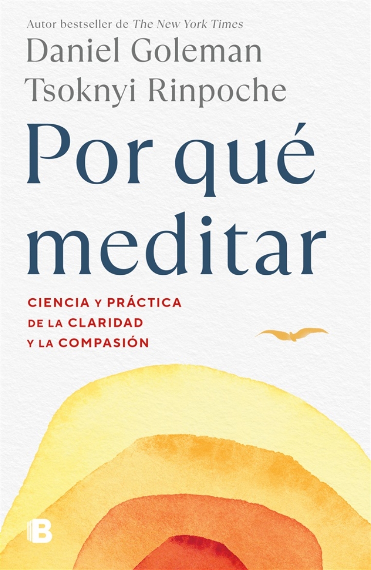 Picture of Why We Meditate: the Science and Practice of Clarity and Compassion