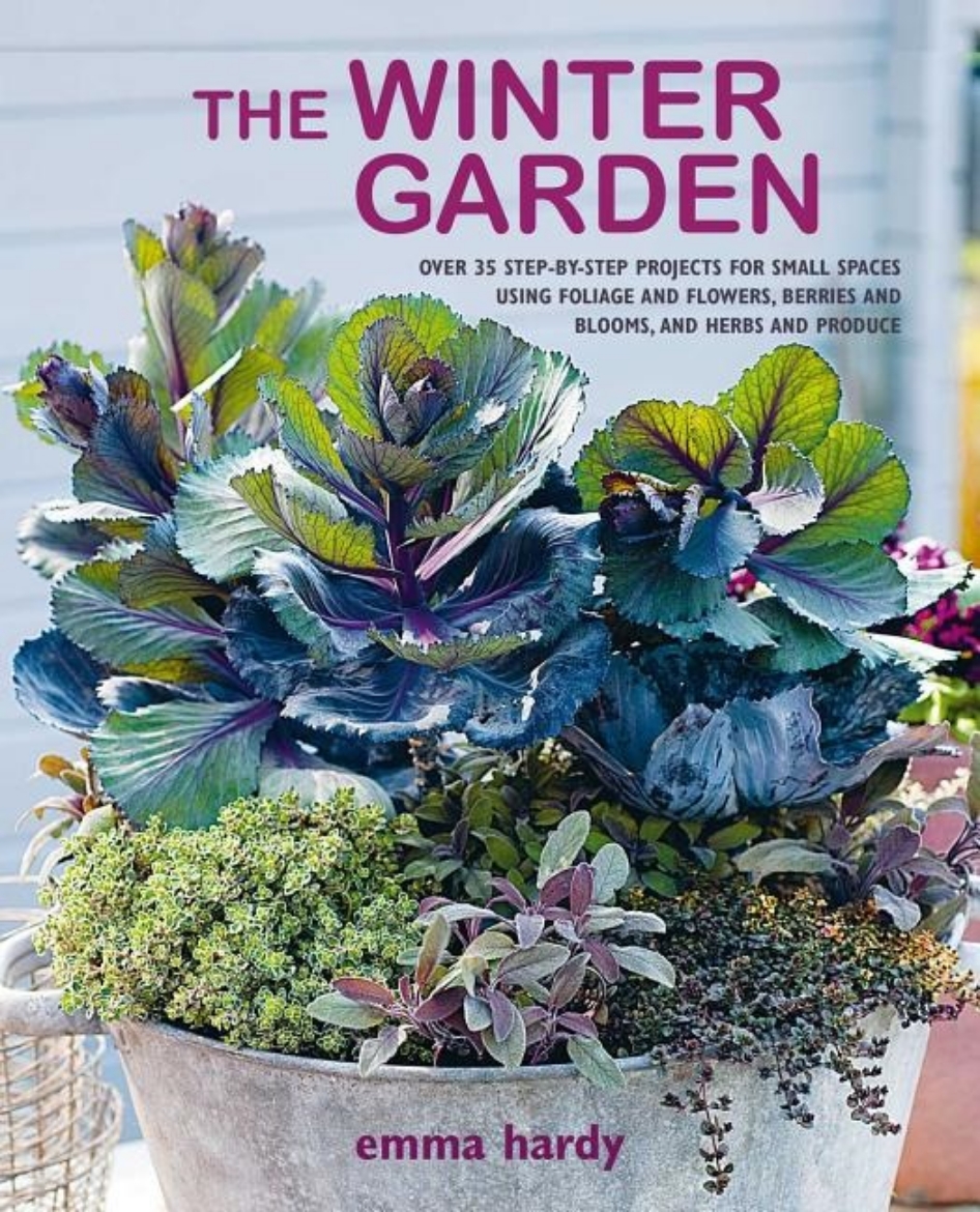 Picture of The Winter Garden