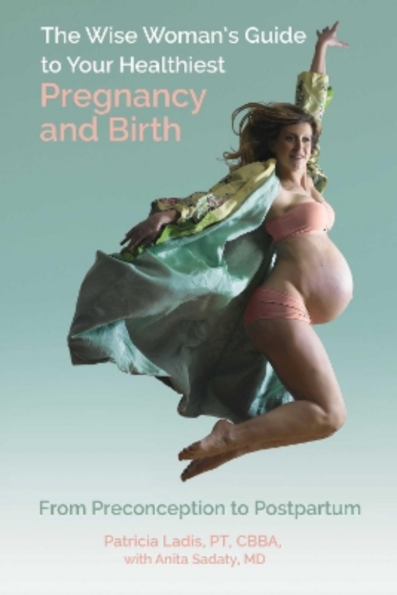 Picture of The Wise Woman's Guide to Your Healthiest Pregnancy and Birth: From Preconception to Postpartum