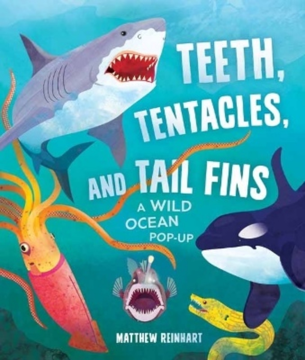 Picture of Teeth, Tentacles, and Tail Fins: A Wild Ocean Pop-Up
