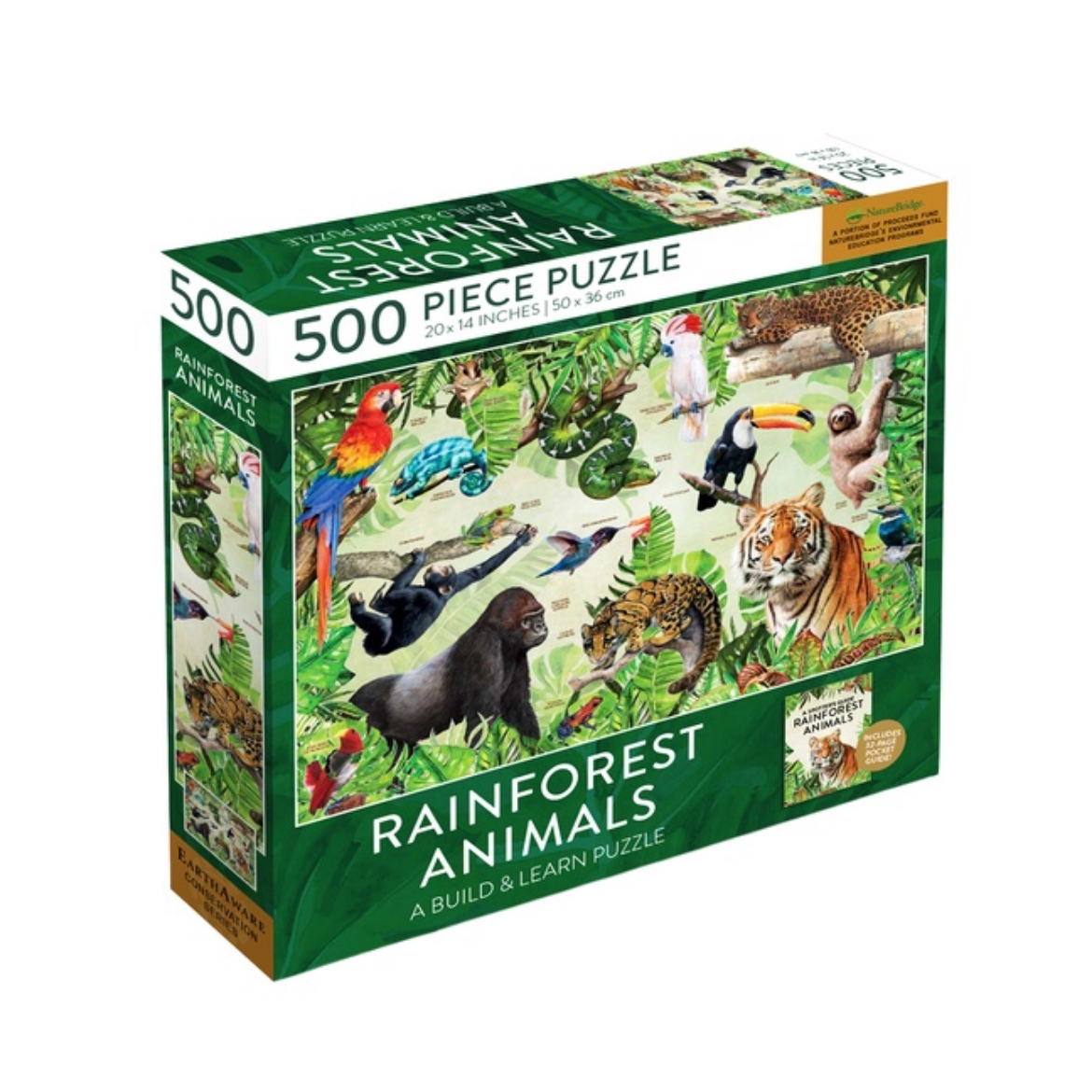 Picture of Rainforest Animals