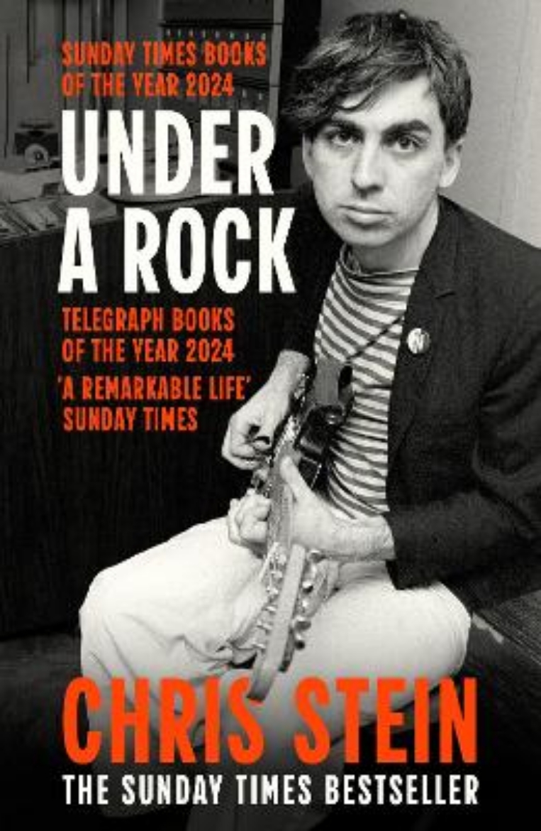 Picture of Under A Rock