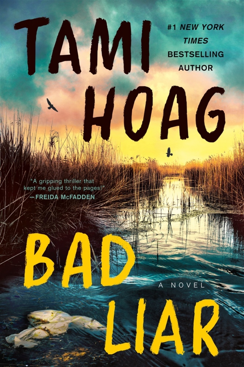 Picture of Bad Liar: A Novel