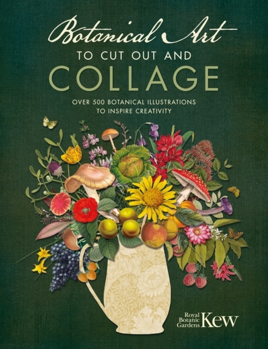 Picture of Botanical Art To Cut Out And Collage