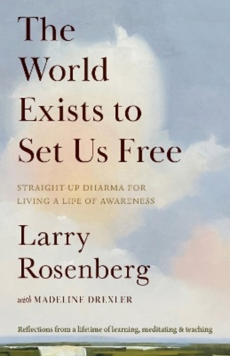 Picture of The World Exists to Set Us Free: Straight-Up Dharma for Living a Life of Awareness