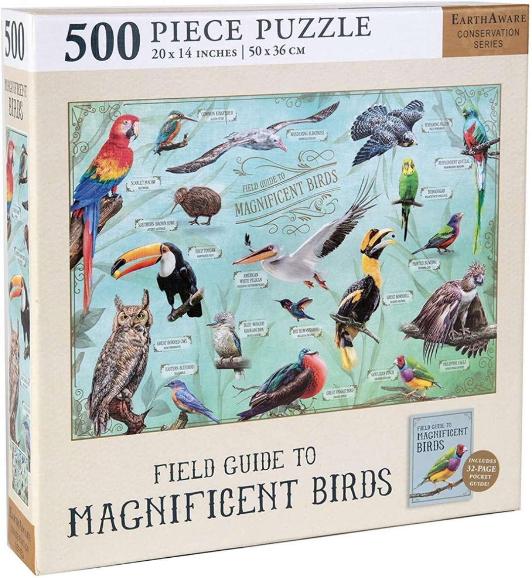 Bild på Field Guide to Magnificent Birds