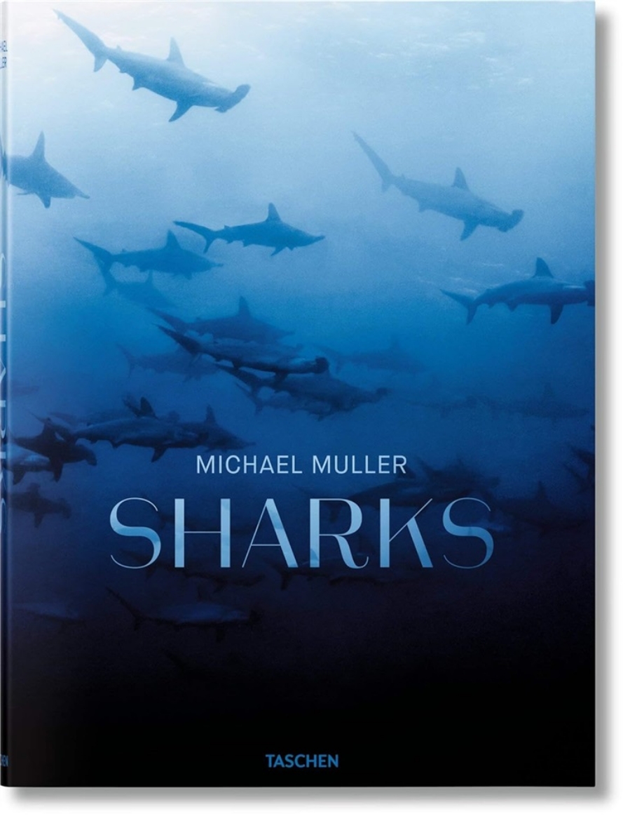 Picture of Sharks