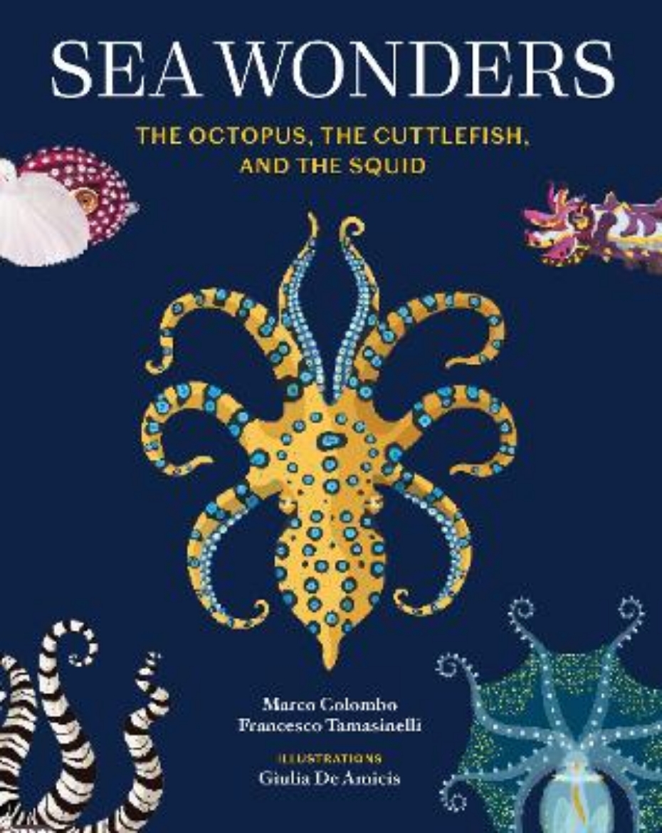 Picture of Sea Wonders