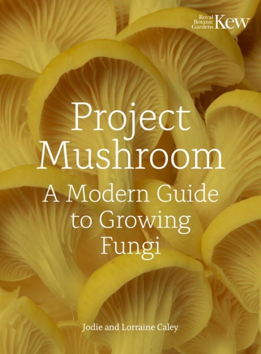 Bild på Project Mushroom