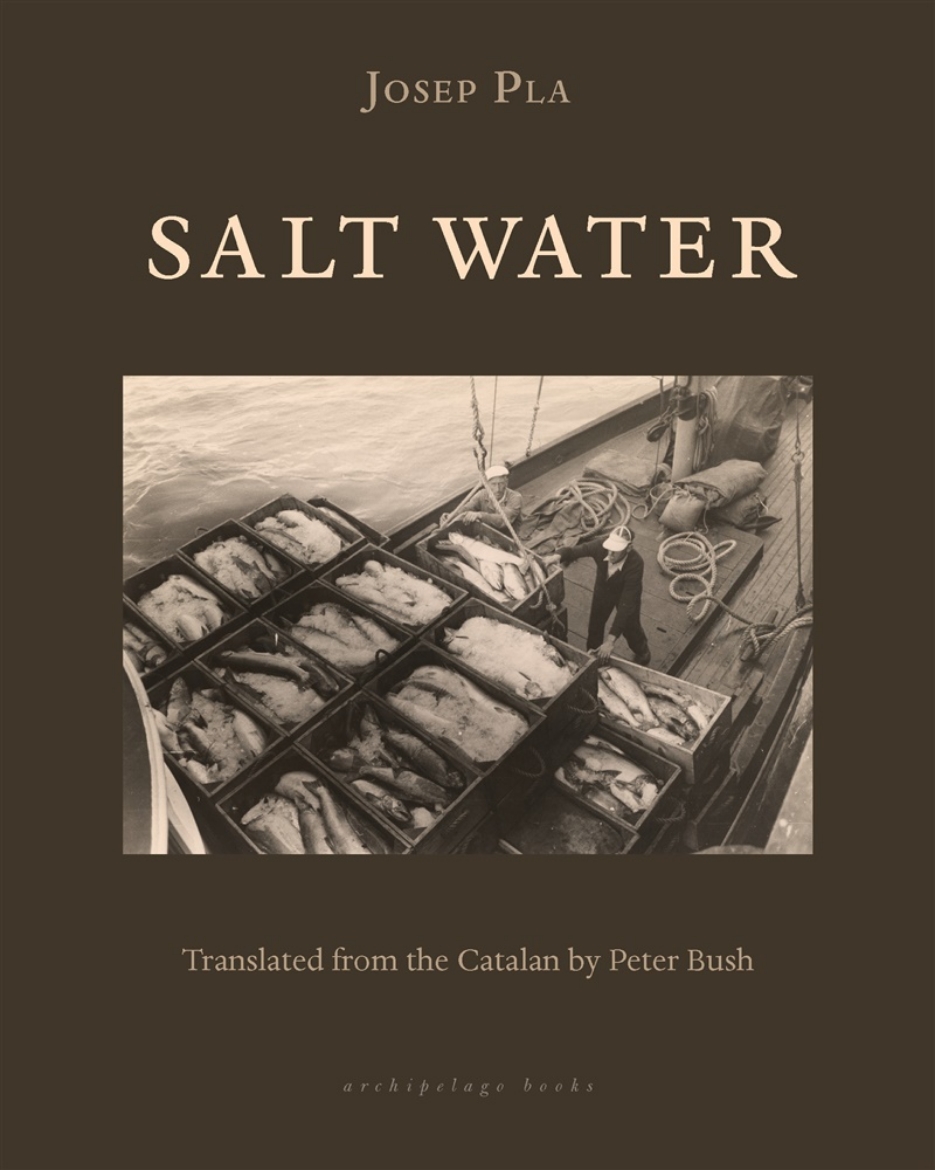 Picture of Salt Water