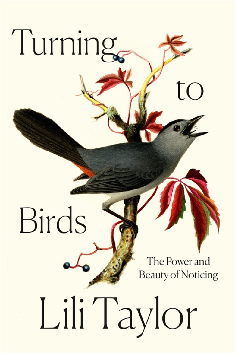 Picture of Turning to Birds: The Power and Beauty of Noticing