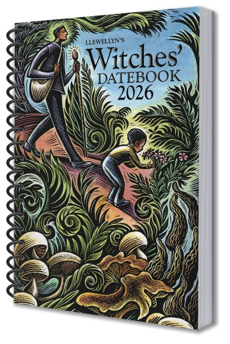 Picture of Llewellyn's 2026 Witches' Datebook