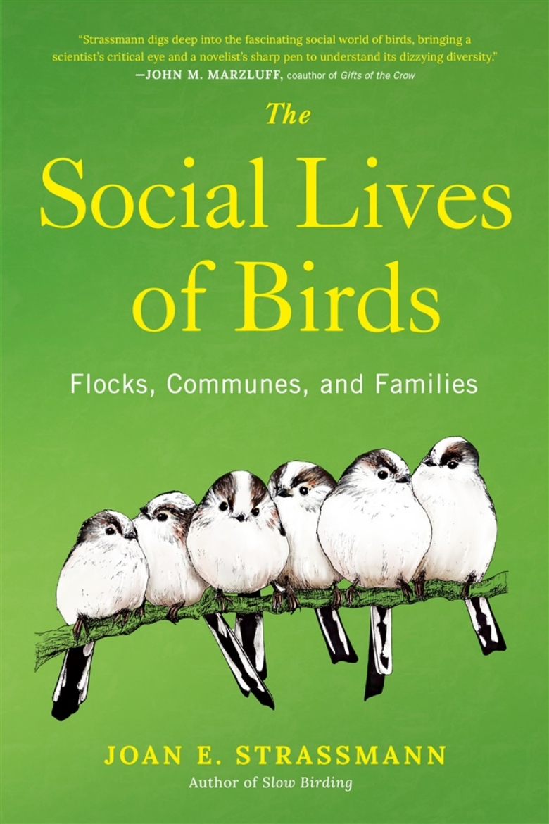 Picture of The Social Lives of Birds: Flocks, Communes, and Families