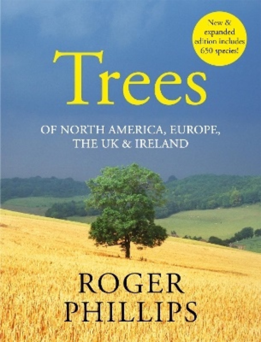 Picture of Trees
