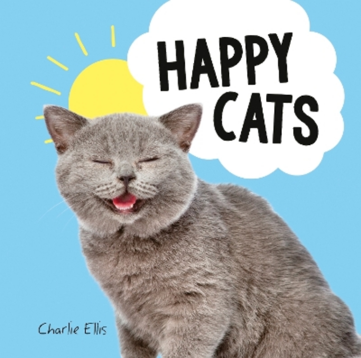 Picture of Happy cats - photos of felines feeling fab