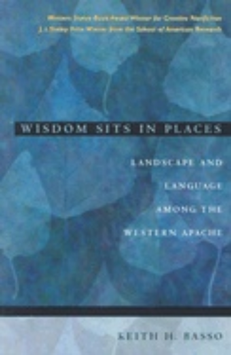 Picture of Wisdom sits in places - landscape and language among the western apache