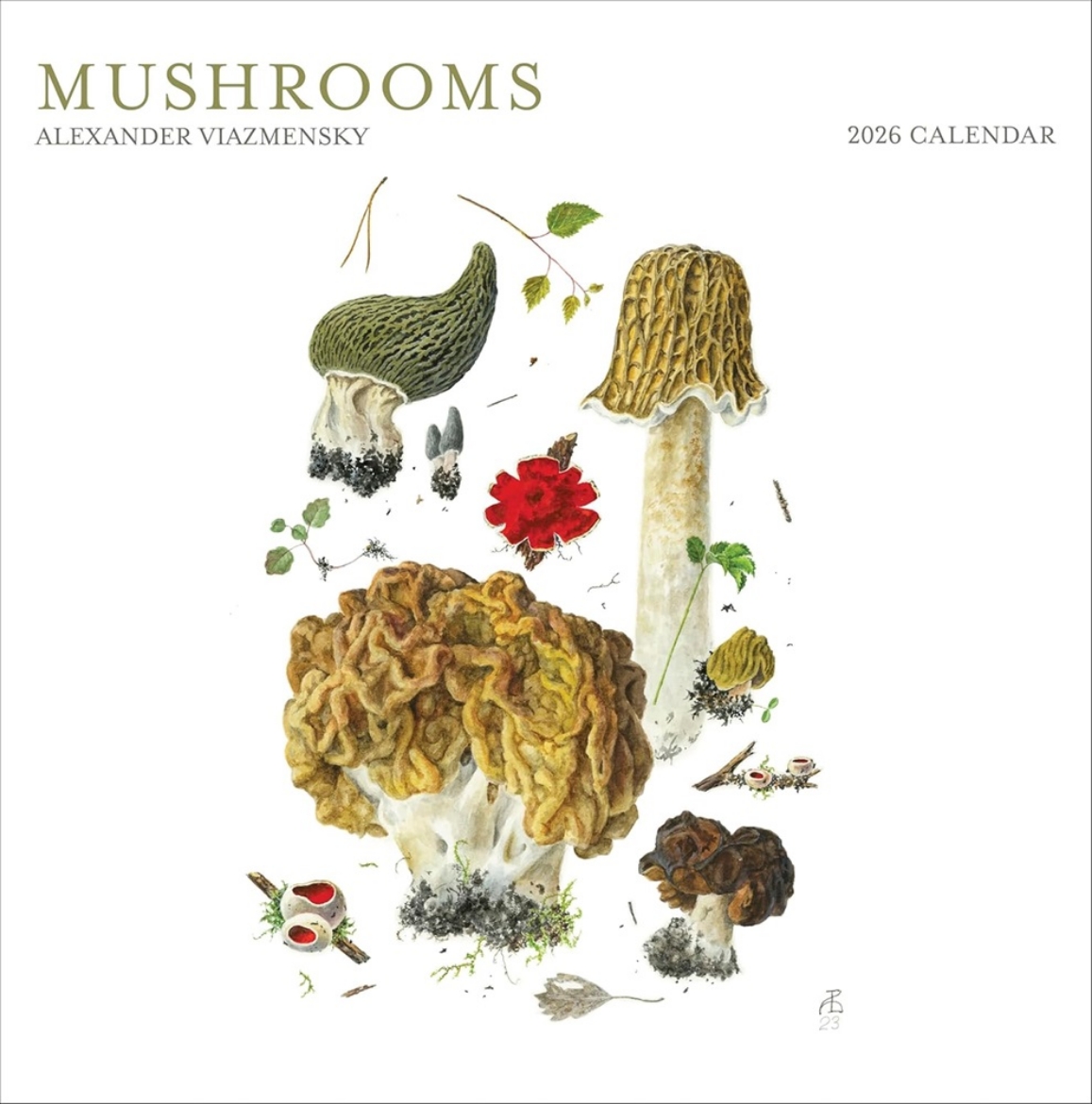 Picture of Mushrooms:  Alexander Viazmensky : 2026 Wall Calendar