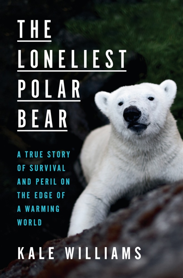 Picture of The Loneliest Polar Bear