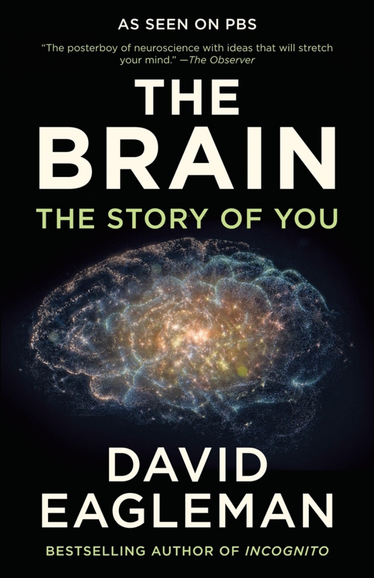 Picture of The Brain: The Story of You