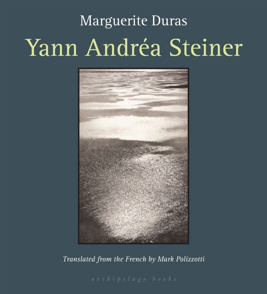 Picture of Yann Andrea Steiner