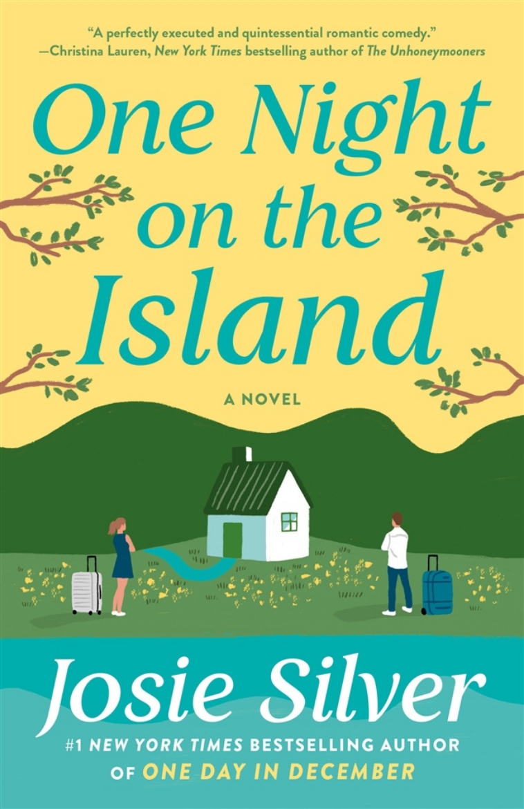 Bild på One Night on the Island: A Novel