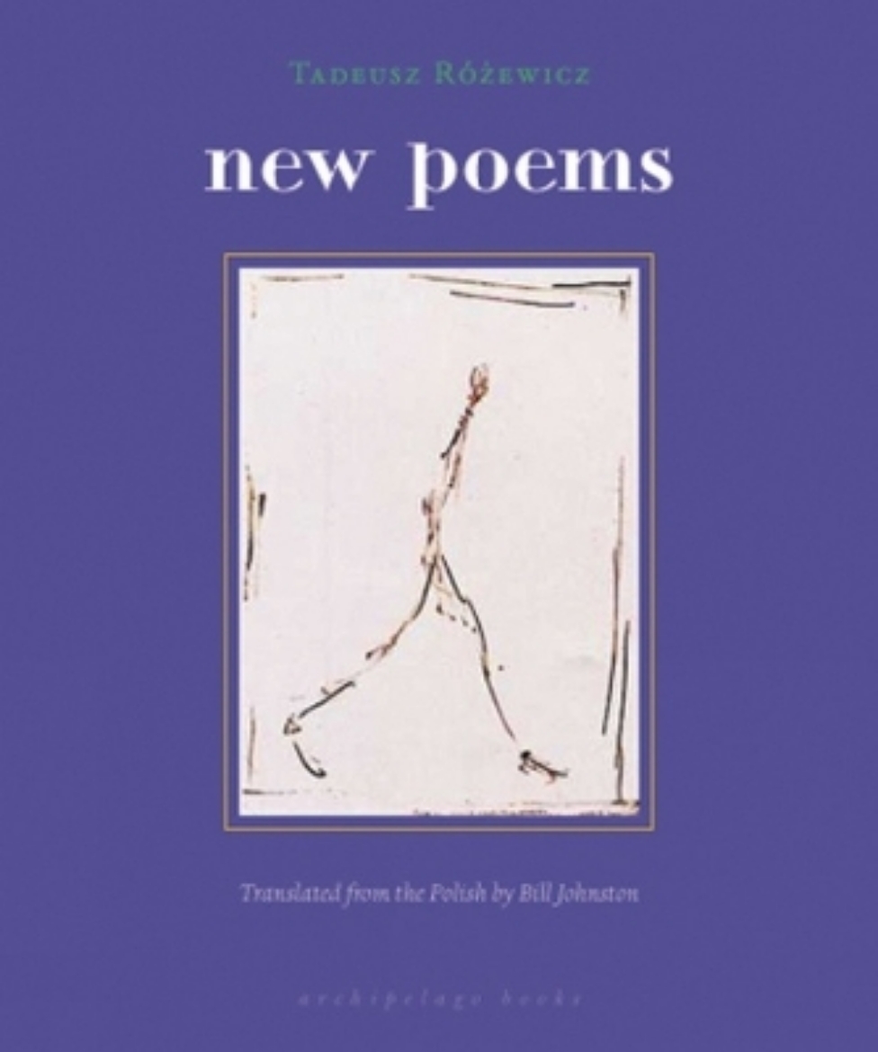 Picture of new poems