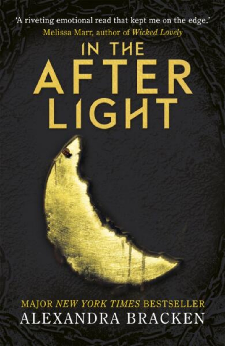 Picture of A darkest minds novel: in the afterlight - book 3