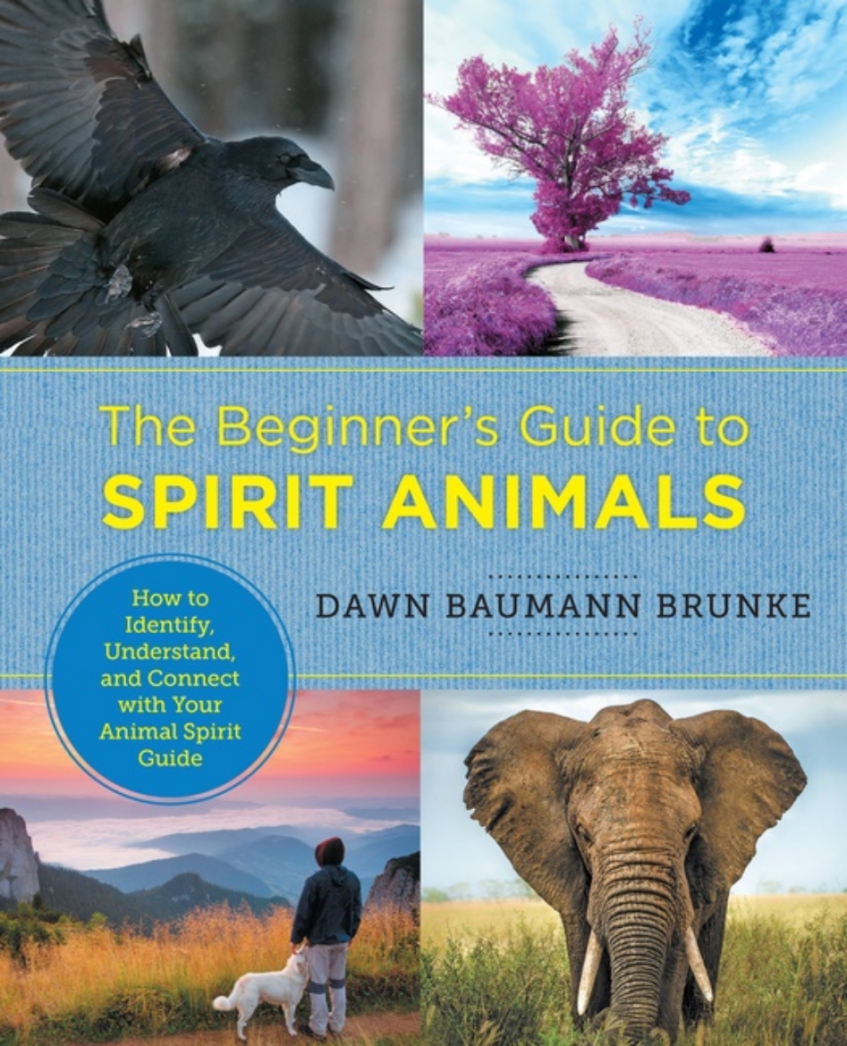 Picture of Beginner's Guide To Spirit Animals