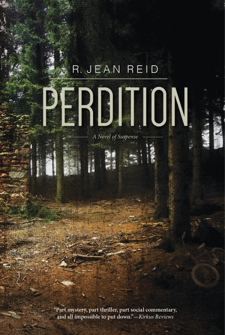 Picture of Perdition - a novel of suspense