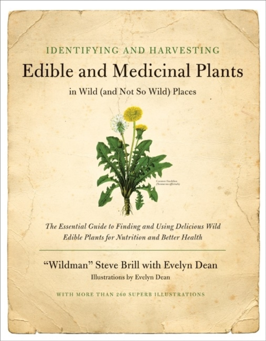 Picture of Identifying And Harvesting Edible And Medicinal Plants In Wi