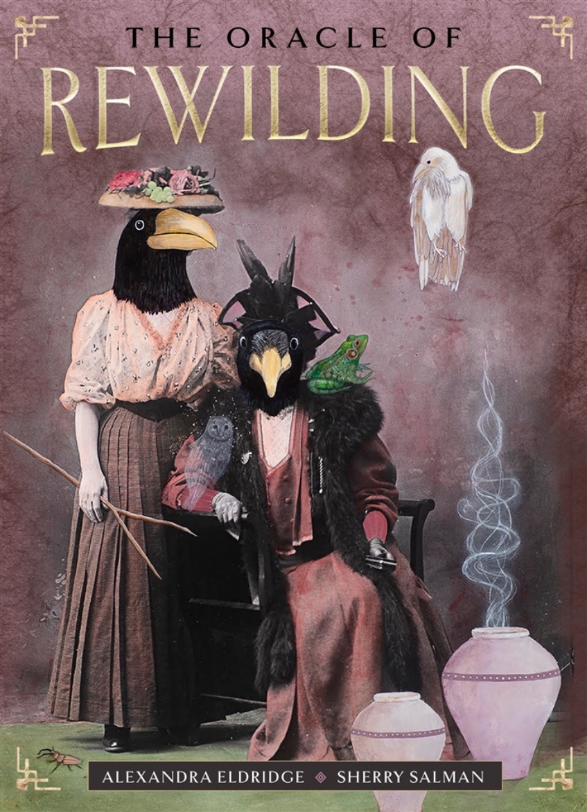 Picture of The Oracle of Rewilding: Pathways to Renewing Our Kinship with All Things (44 Full-Color Cards and 176-Page Guidebook)