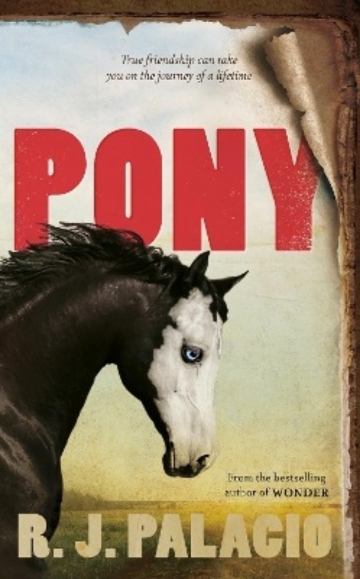 Picture of Pony