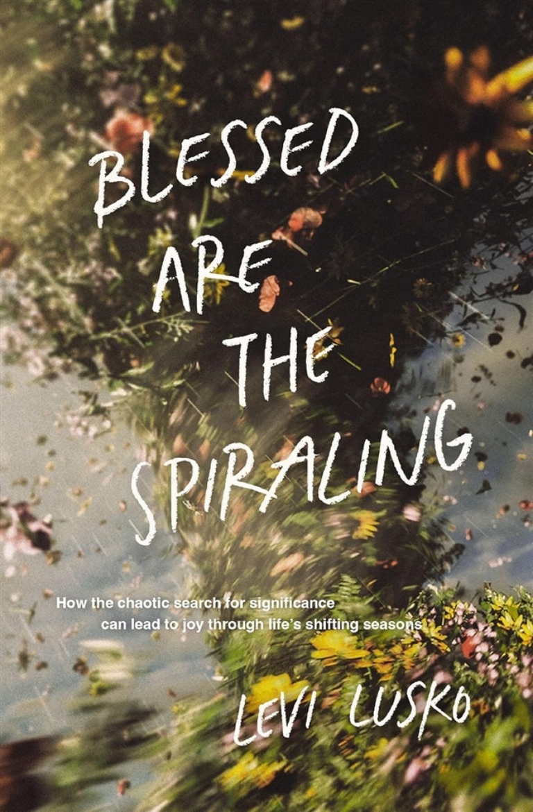 Picture of Blessed are spiraling