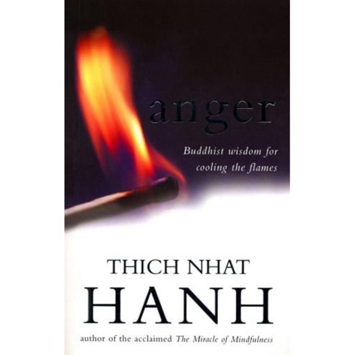 Picture of Anger: Buddhist Wisdom for Cooling the Flames